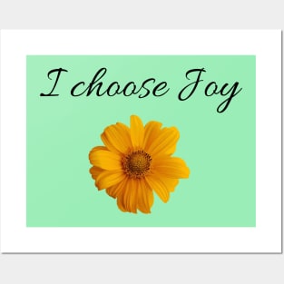 I choose Joy Posters and Art